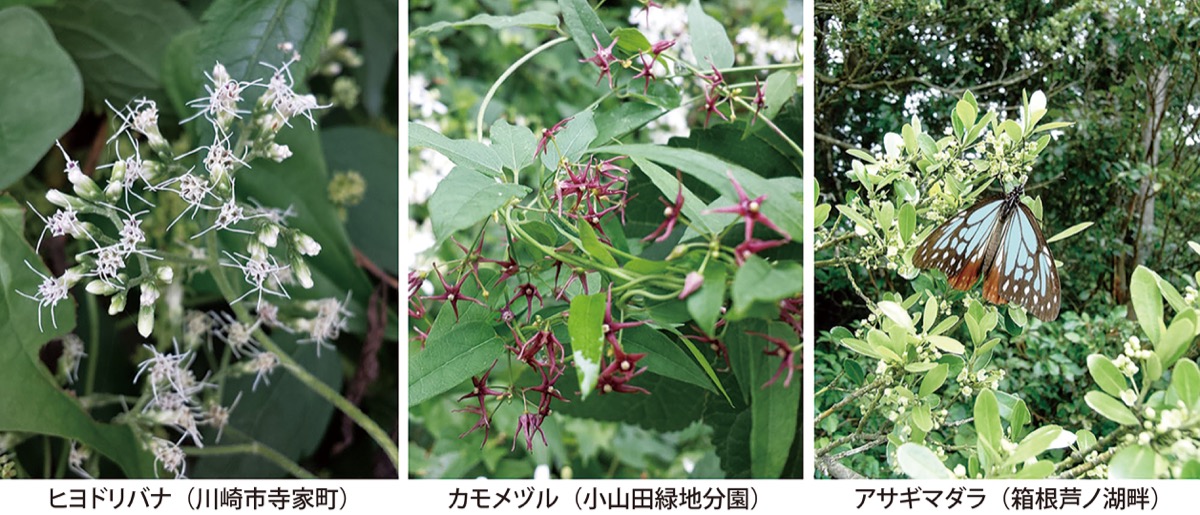 宮司の徒然　其の９６