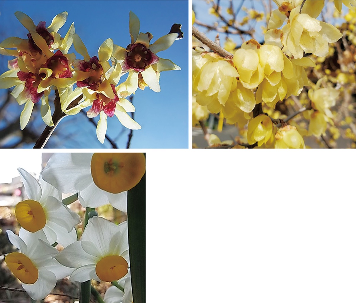 宮司の徒然　其の９7