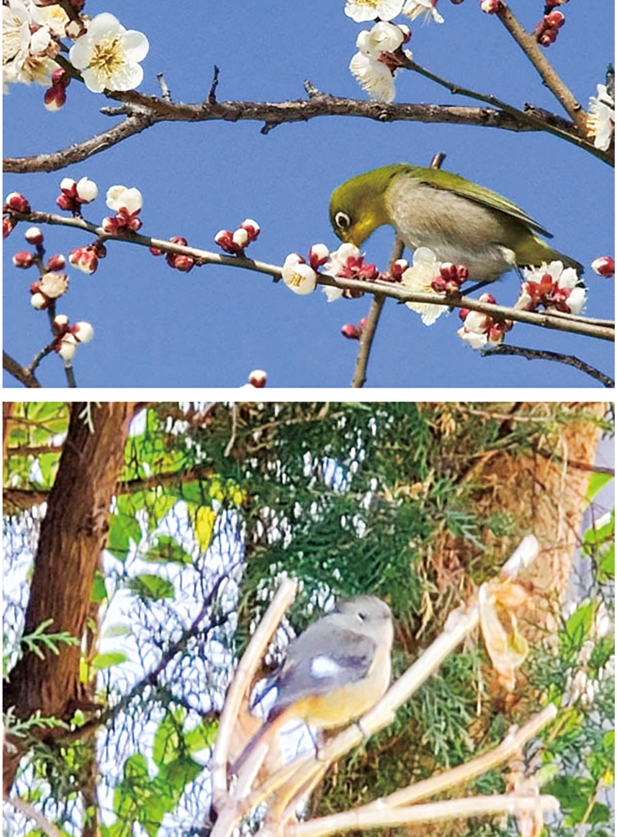 宮司の徒然　其の９８