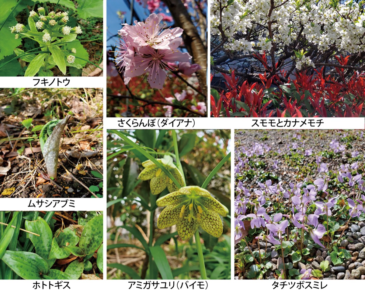 宮司の徒然　其の100