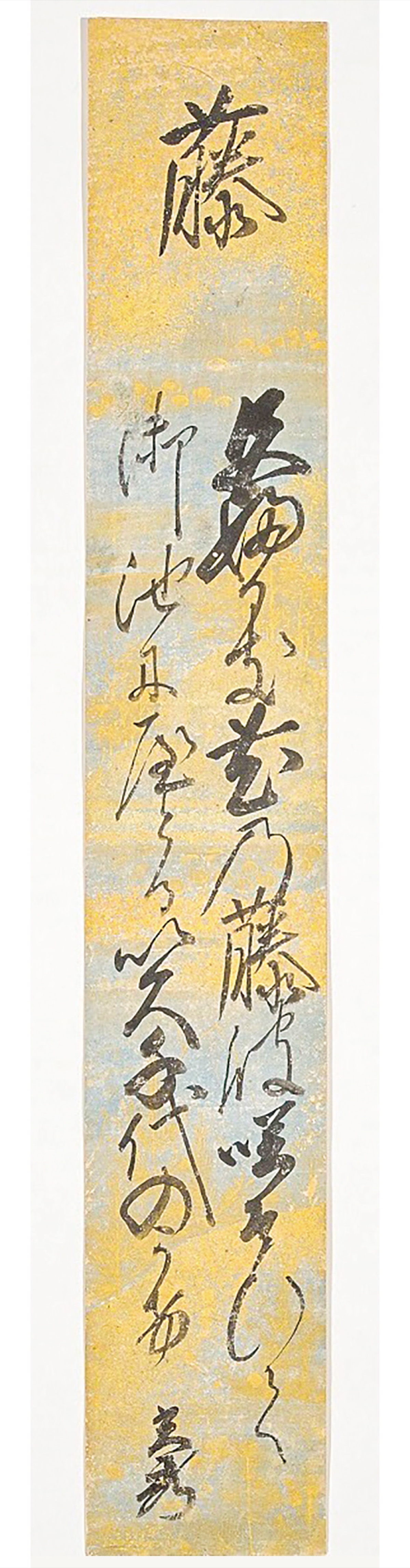 いつまでも変わらぬ藤を