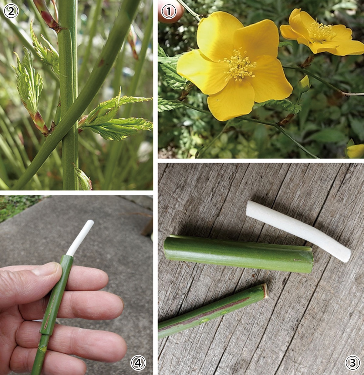 宮司の徒然　其の103