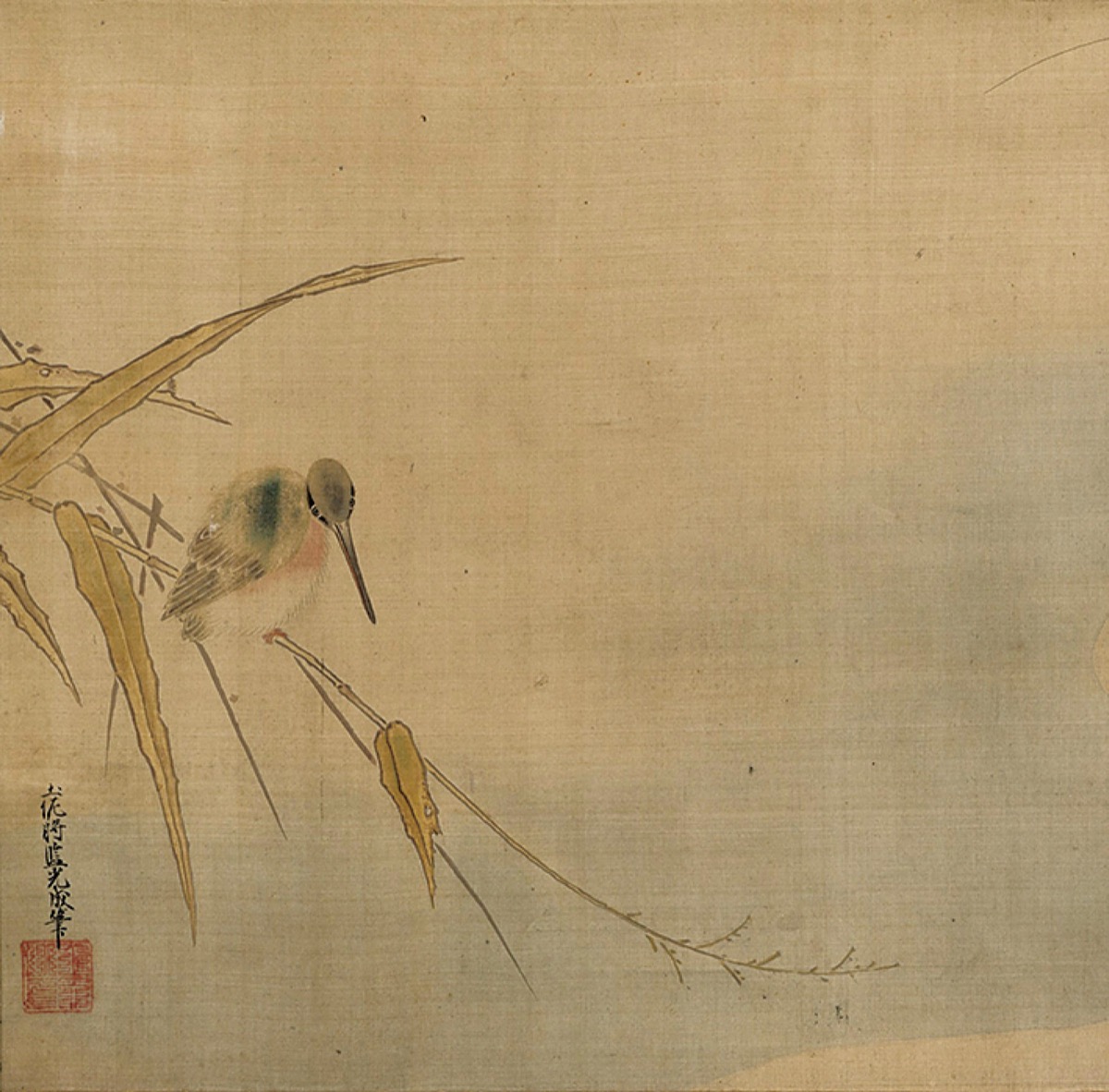 町田市の鳥、ご存じですか？