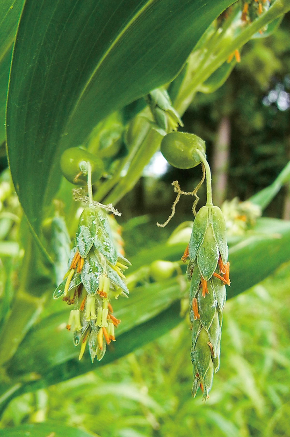 宮司の徒然　其の10４