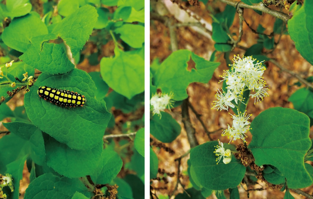 宮司の徒然　其の10７