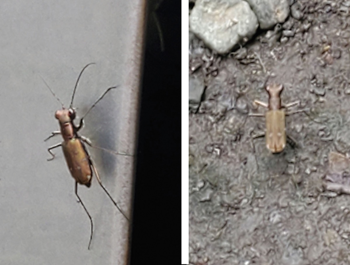 宮司の徒然　其の10９