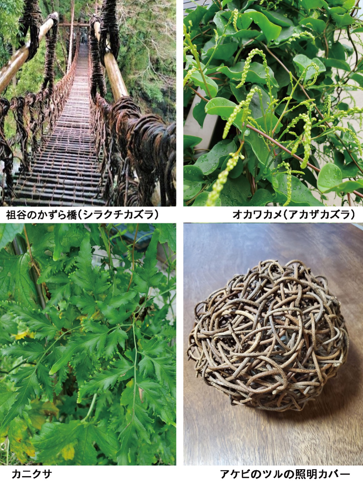 宮司の徒然　其の111