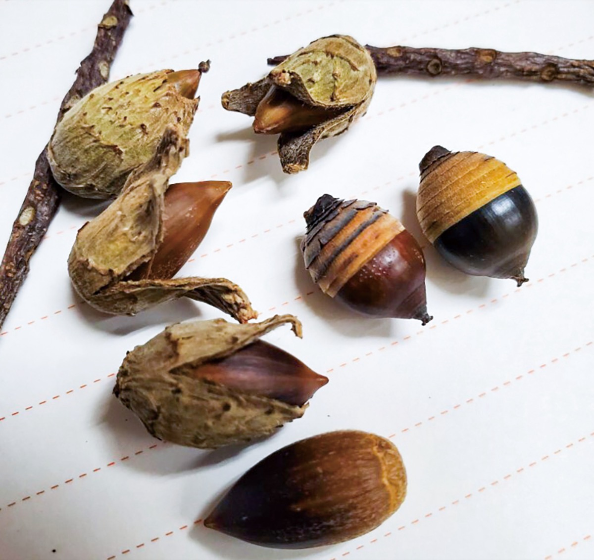 宮司の徒然　其の112