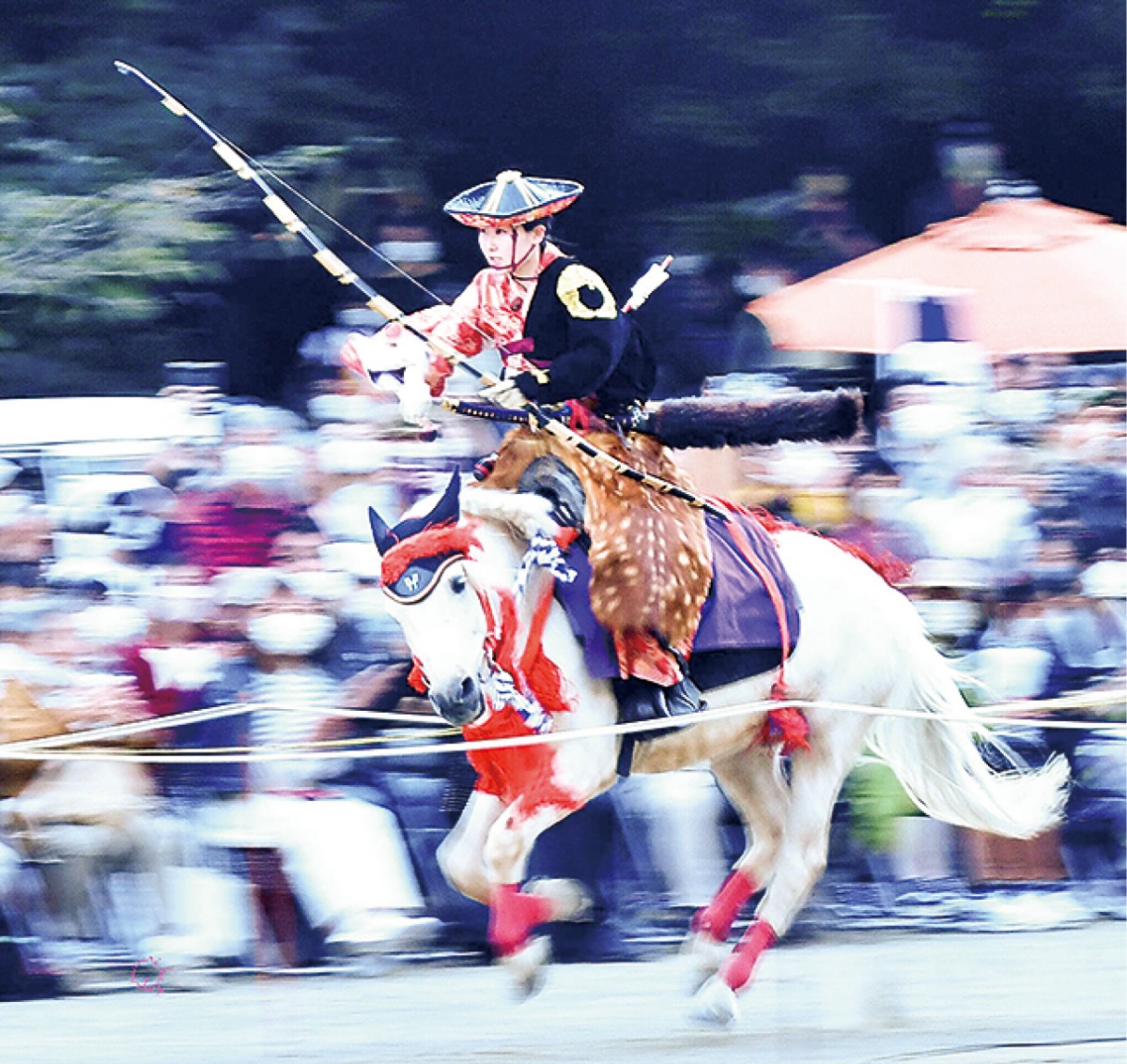 迫力満点の流鏑馬(加藤康成さん撮影)