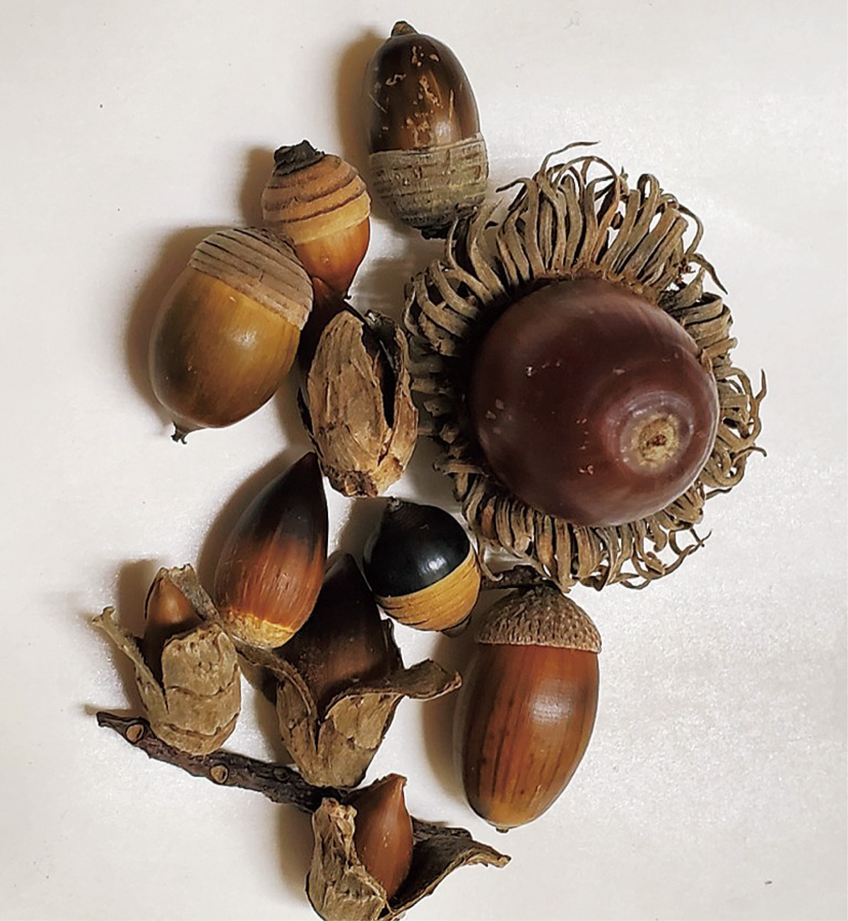 宮司の徒然　其の113