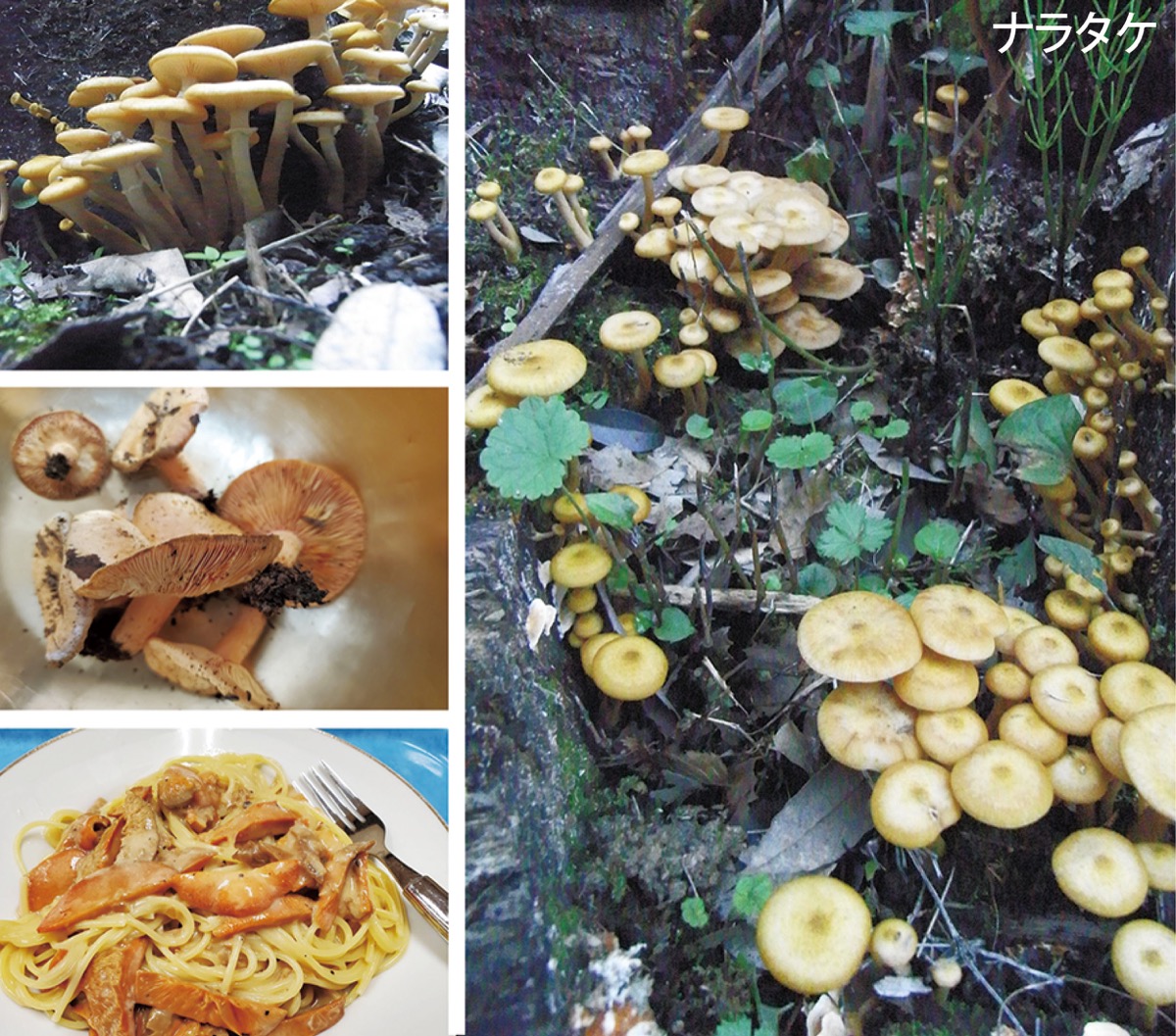 宮司の徒然　其の114