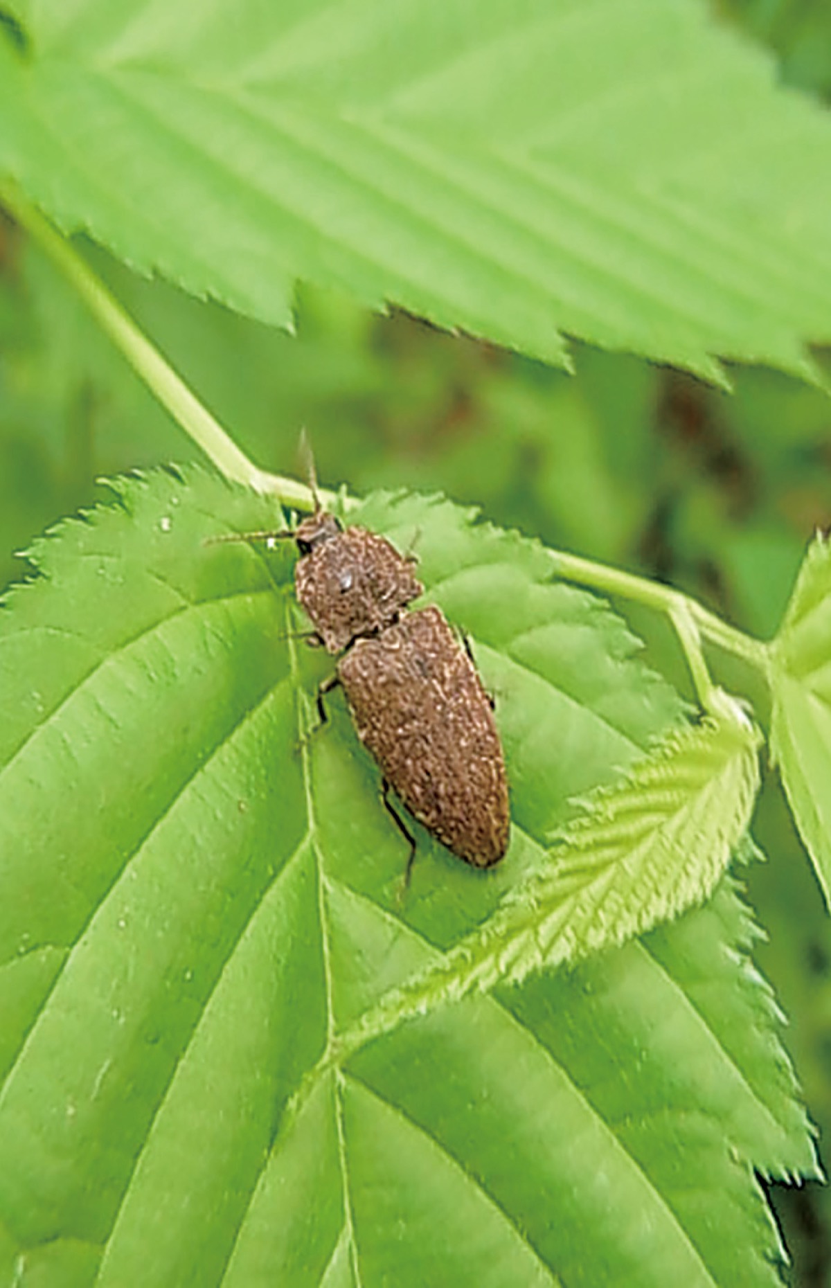 宮司の徒然　其の116
