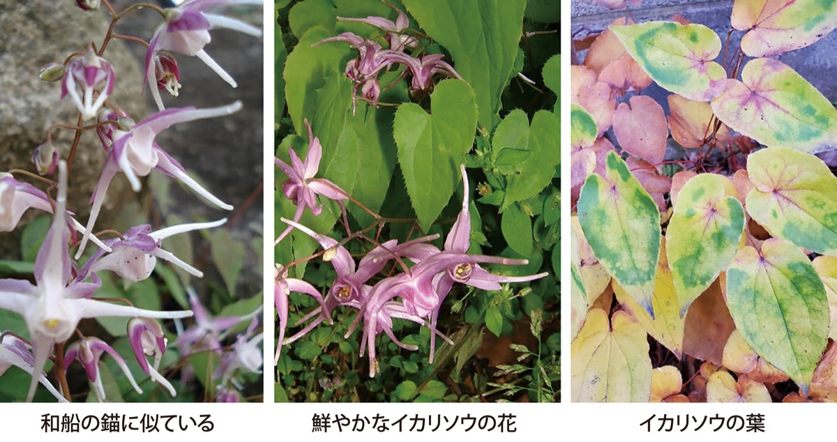 宮司の徒然　其の121