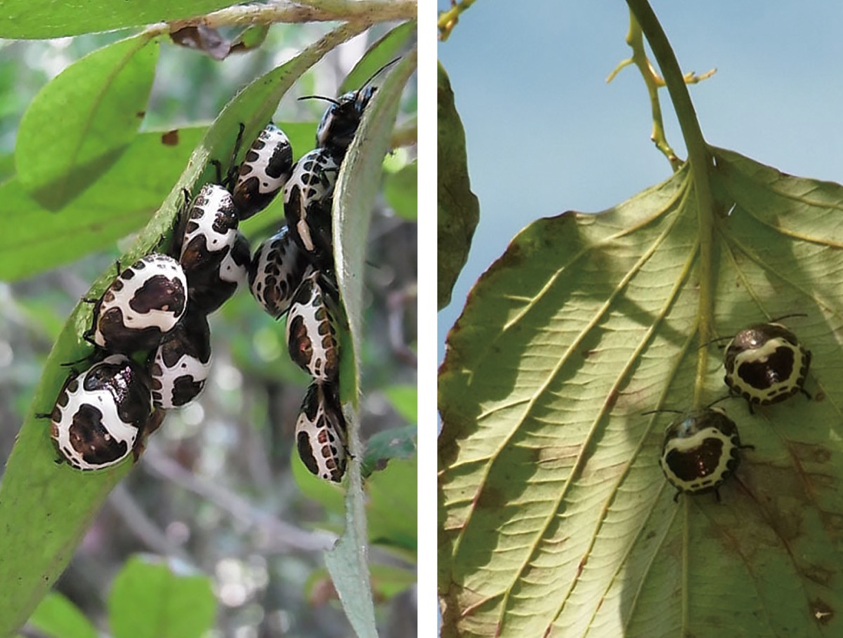 宮司の徒然　其の12４