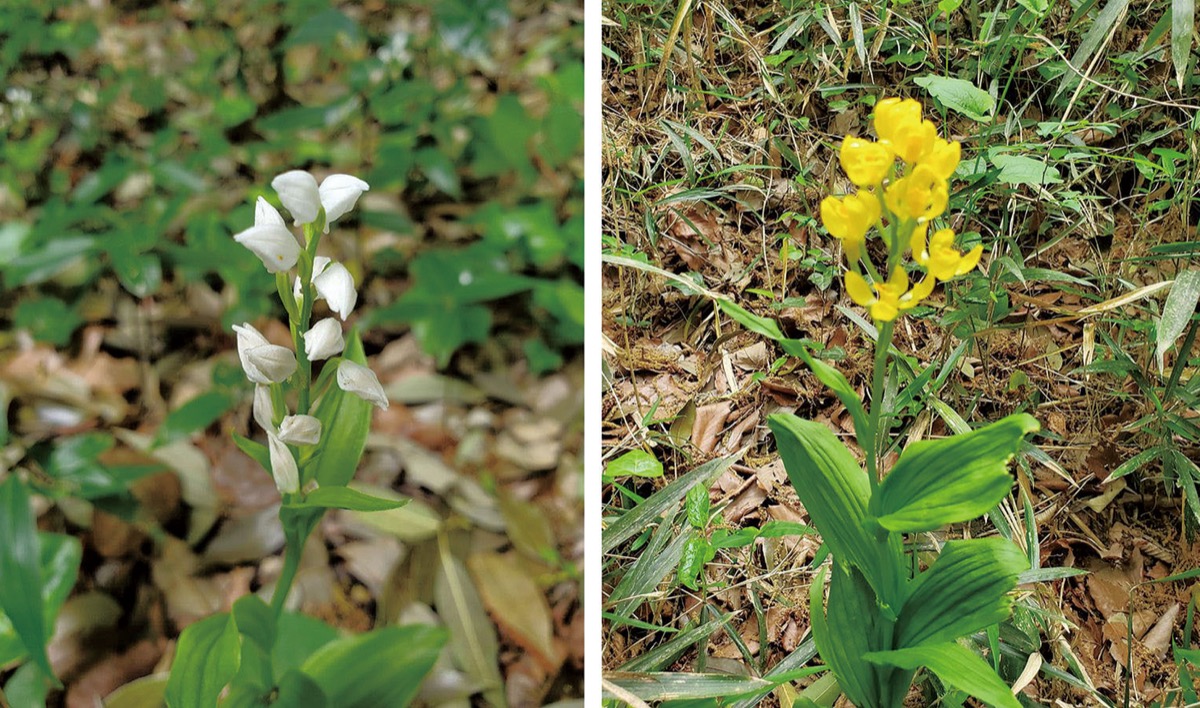 宮司の徒然　其の126