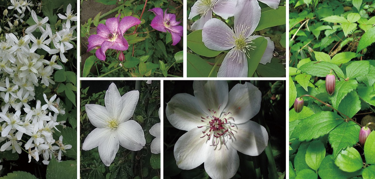 宮司の徒然　其の127