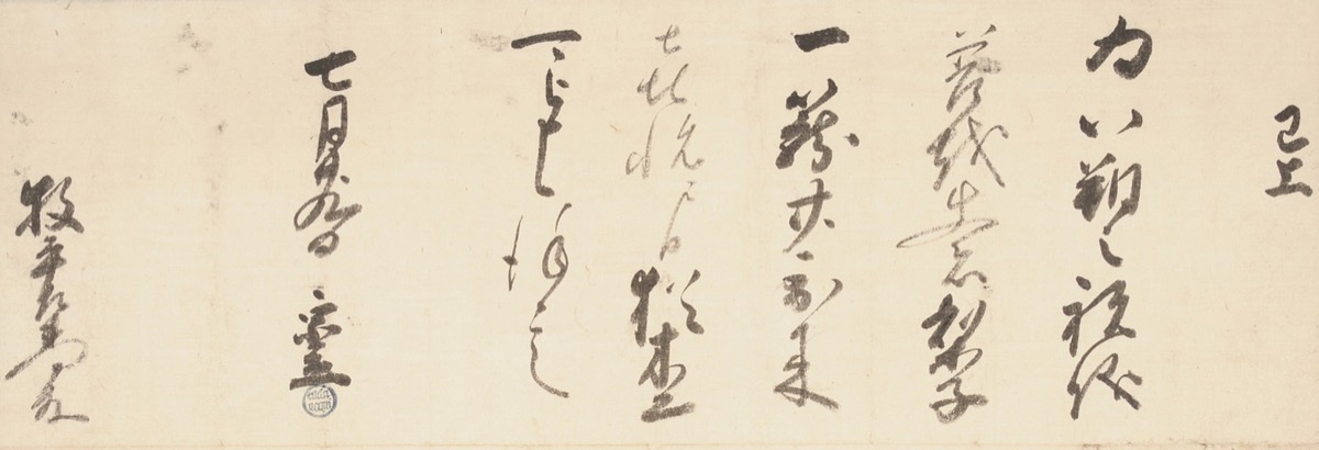 夏の涼しい贈り物