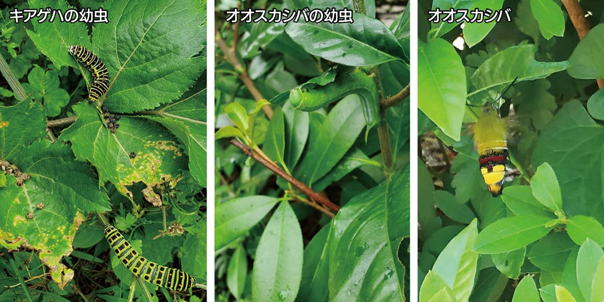 宮司の徒然　其の130町田天満宮　宮司　池田泉