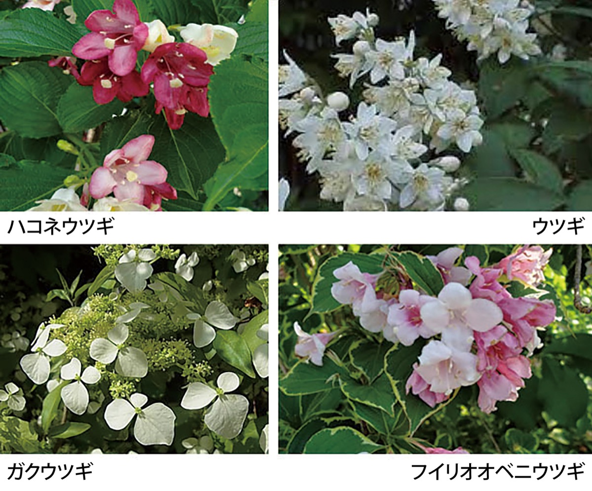 宮司の徒然　其の131町田天満宮　宮司　池田泉