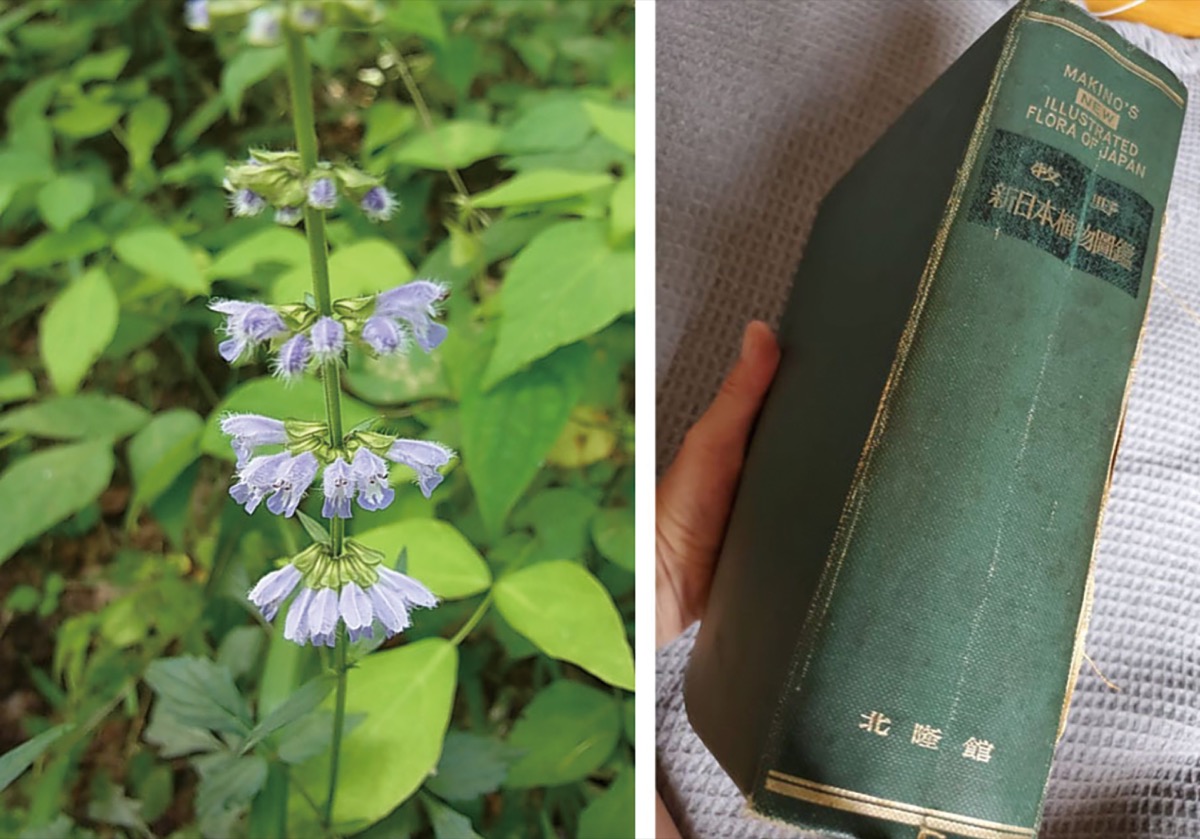 宮司の徒然　其の135町田天満宮　宮司　池田泉