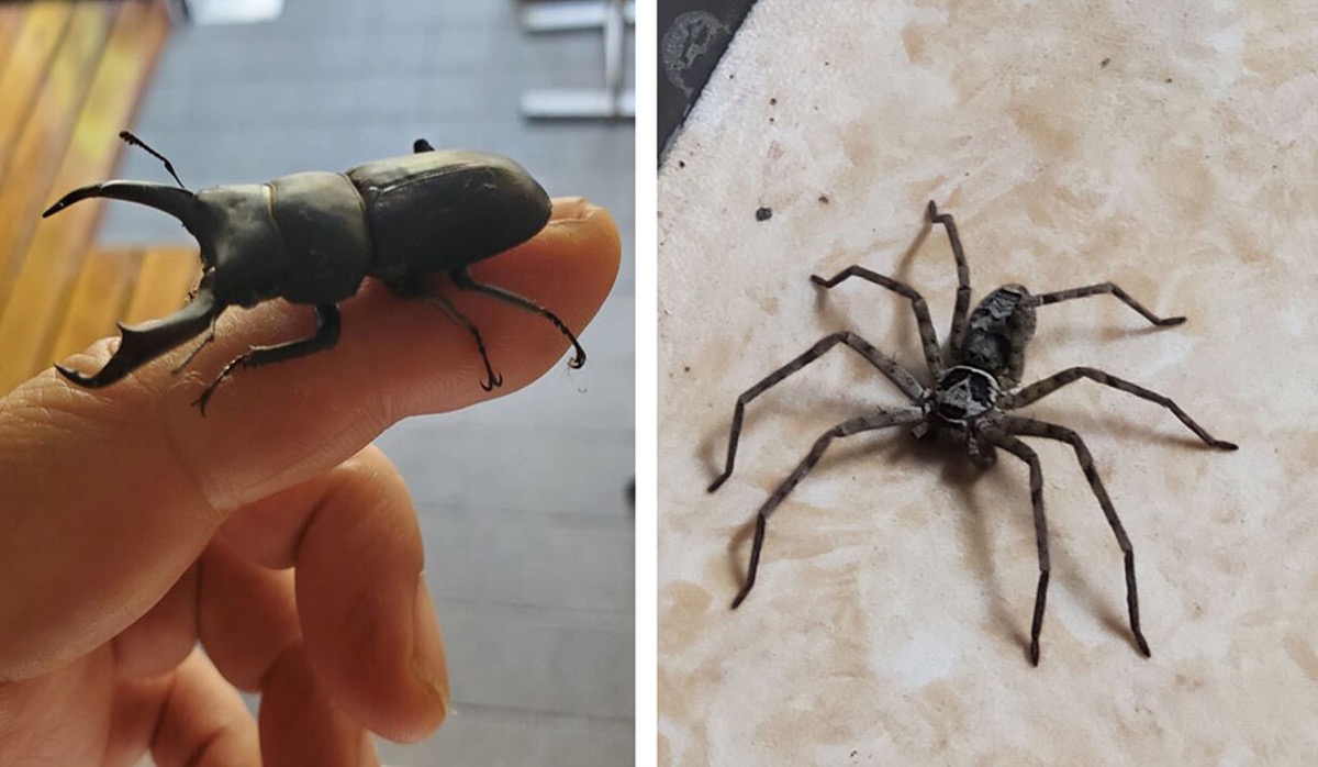 宮司の徒然　其の137町田天満宮　宮司　池田泉