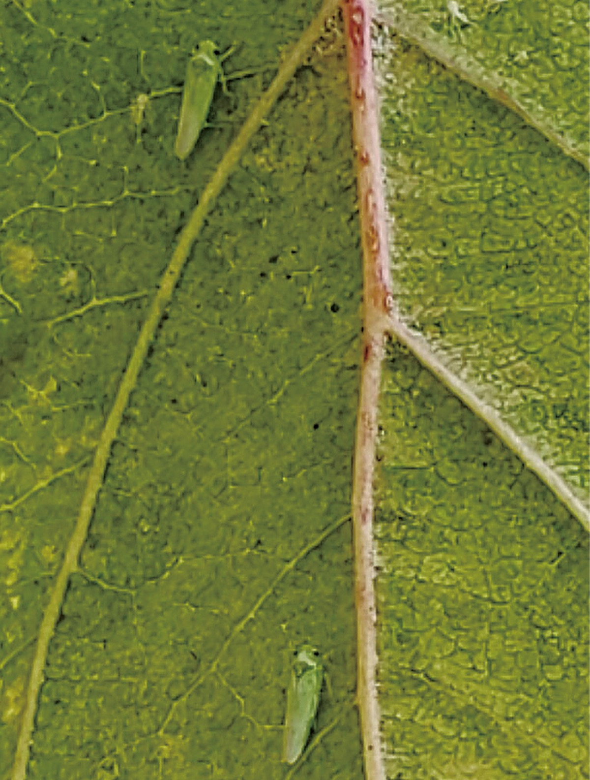 宮司の徒然　其の136