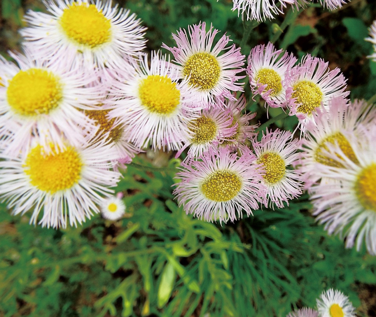 宮司の徒然　其の1４０