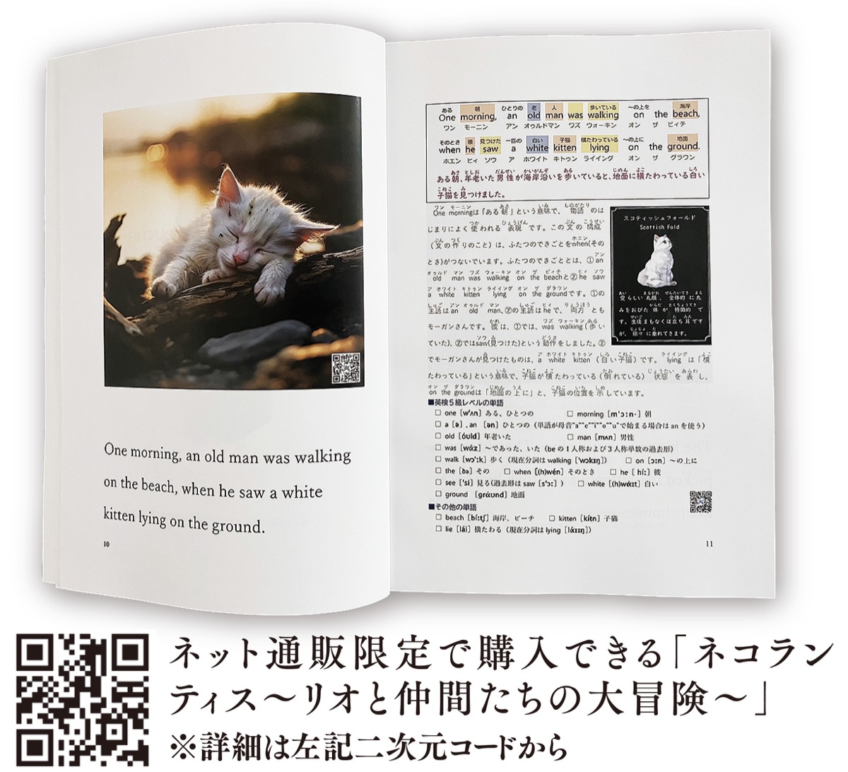 「ネコの冒険」通し、英語学ぶ (写真2)