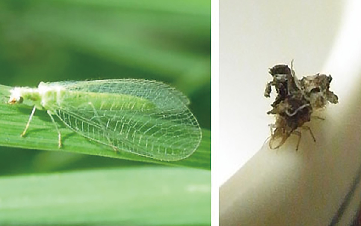 宮司の徒然　其の1４３