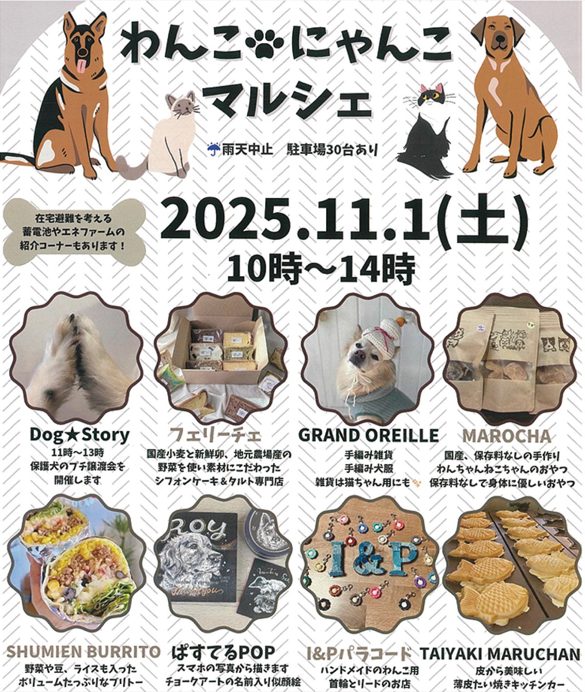 犬猫のイベント、中町で11月１日