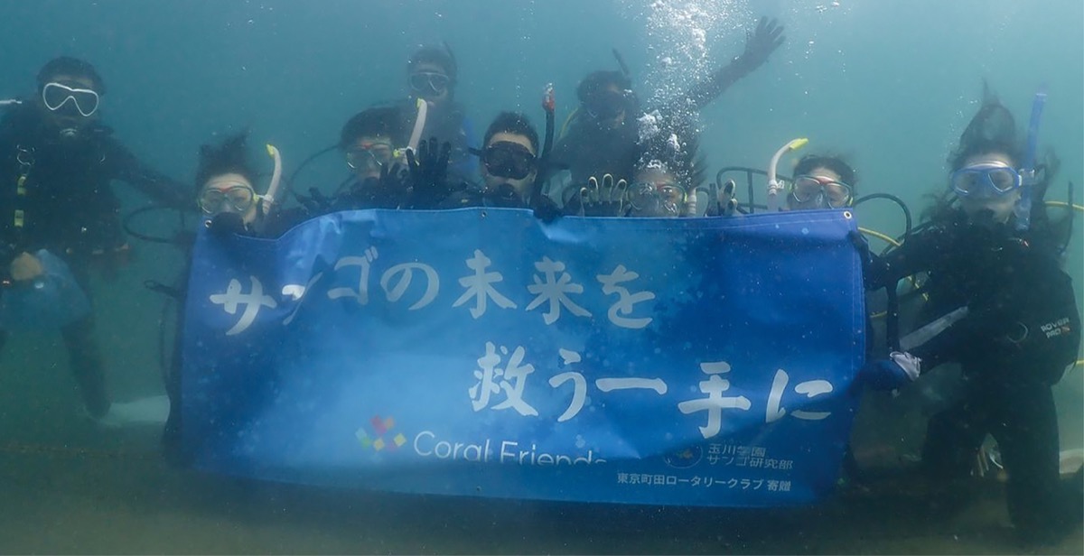 サンゴ研究団体を支援