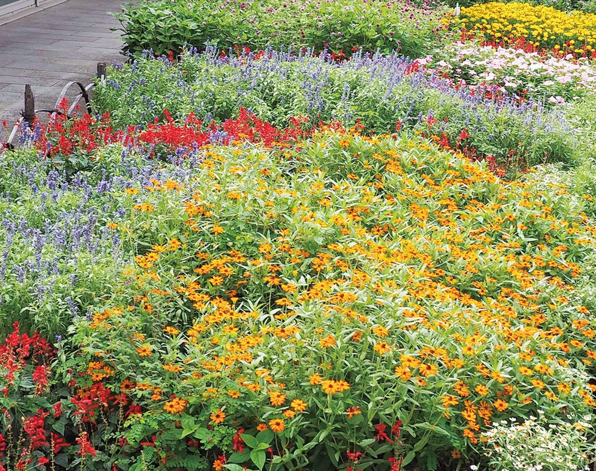 ｢送る花壇｣で最優秀賞