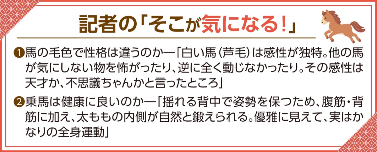 真光寺に元競走馬 (写真2)