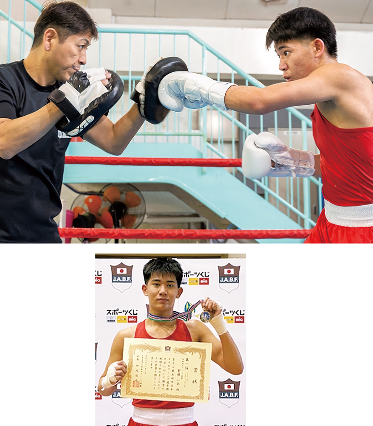 今、マスボクシングが人気