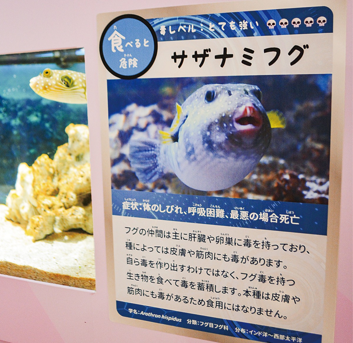 ｢毒｣の特別展