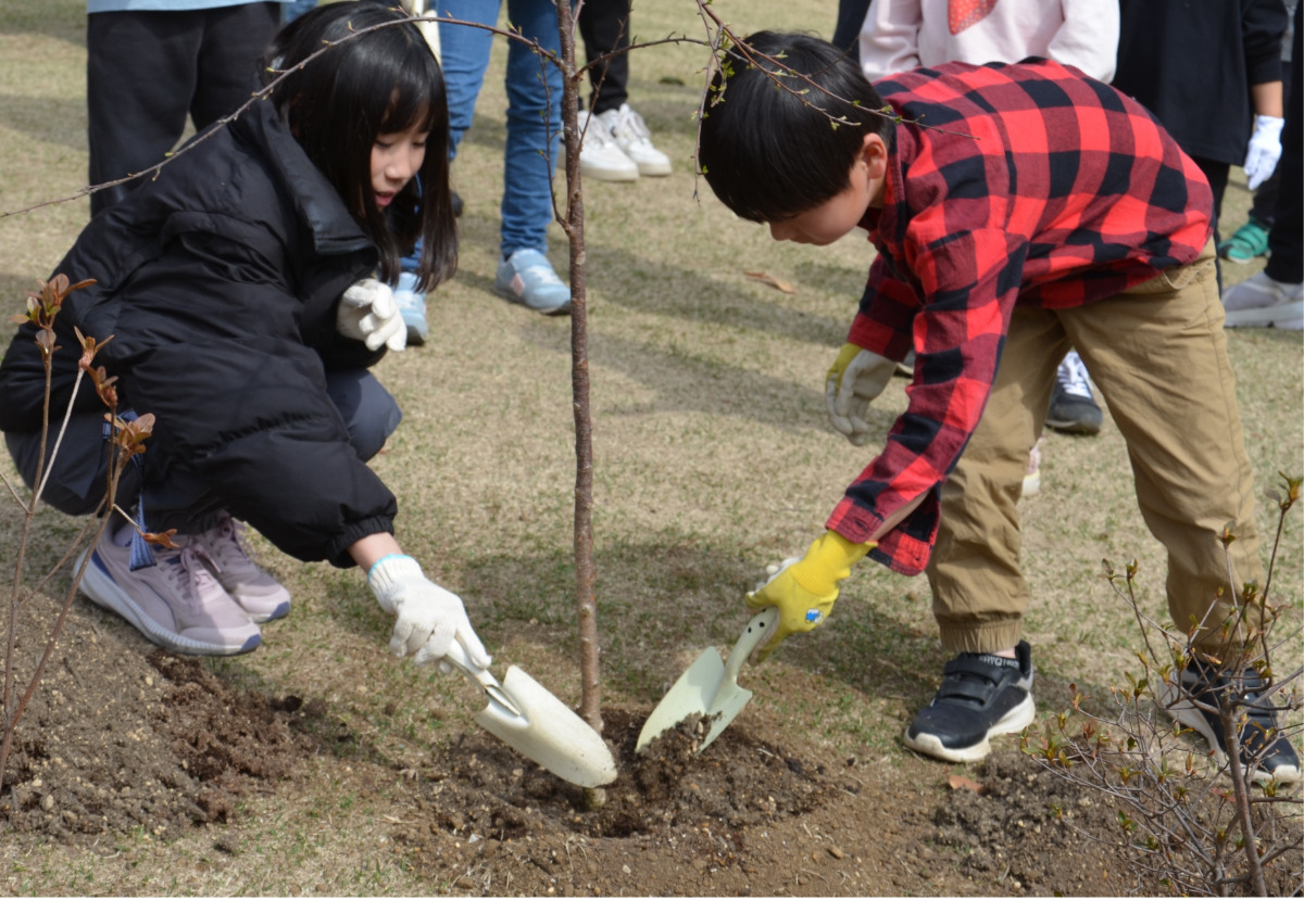 南町田子どもクラブのメンバーも植樹を手伝った