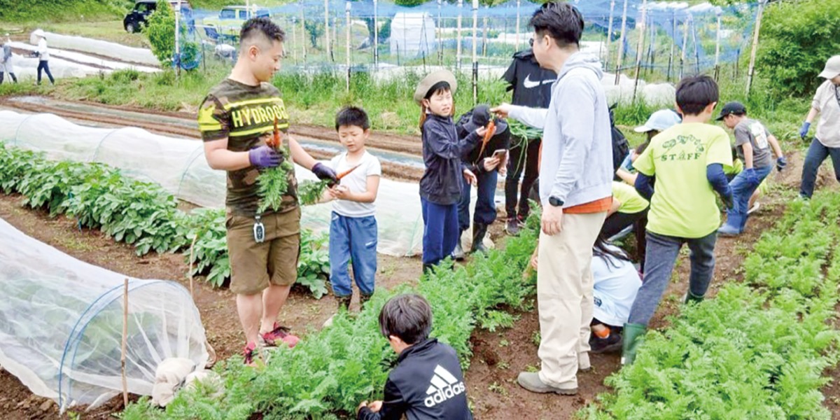 ▲野菜づくりにあたる「いもづるの会」の活動