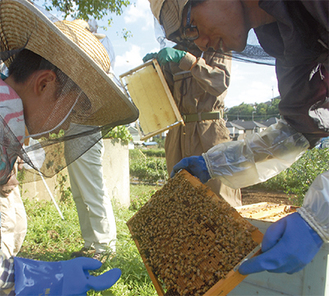 ９月に行われた「ハチミツ収穫祭」の様子