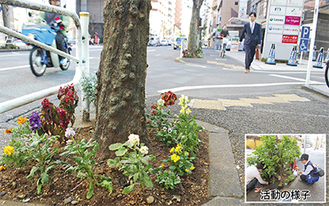 駅前通りの街路樹に植えられた花々