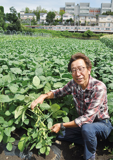栽培する枝豆を手にする菱山さん＝６月14日撮影。収穫してそのまま生で食べることもあるそう