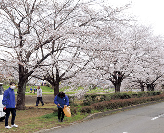 南浅川沿いに広がる桜並木の一部は同ＬＣ植樹によるもので、近くに石碑もある。青いジャケットが会員