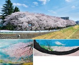 明るい歌でも歌って