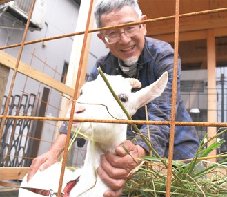 街道沿いの庭で飼育する田所さんと、生後７か月のヤギ、アナちゃん