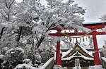 雪の薬王院＝樋口さん撮影
