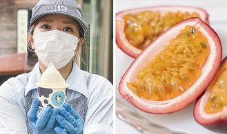 【左】パッションフルーツ味のアイスを持つスタッフ／八王子で栽培されているパッションフルーツの画像