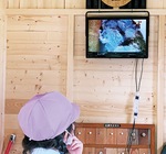巣箱に設置したモニターを観察小屋で見つめる園児
