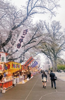 桜並木の下、出店が立ち並ぶ富士森公園内陸上競技場南側の通路＝４月５日