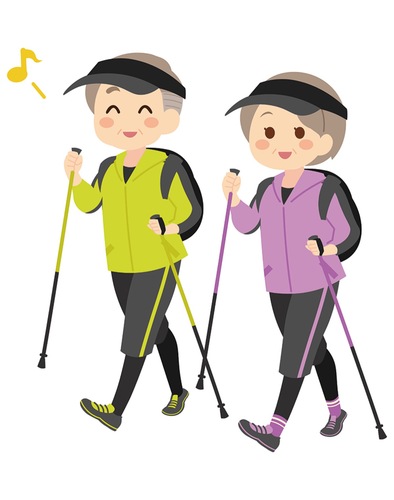 ２本のポールはレンタル可能