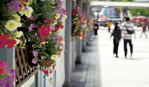 駅前や公園を花と緑が彩る（主催者提供）