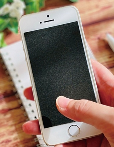 補助を活用しお得にスマホデビュー